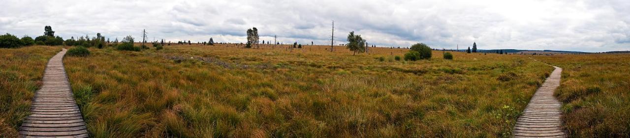 Le Reve Ardennais مالميدي المظهر الخارجي الصورة